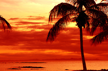 Image showing orange sunset on tropical island with palm