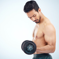 Image showing Man, fitness and dumbbell in studio for muscle, wellness and self care on blue background with focus. Model, bodybuilder workout and training for health, body or development with exercise on backdrop