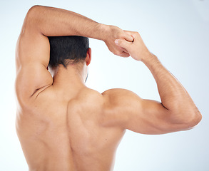 Image showing Man, fitness stretching and back view for muscle wellness, body care and sports exercise or warm up in studio. Athlete, arm stretch and bodybuilder training, healthy performance or spine workout