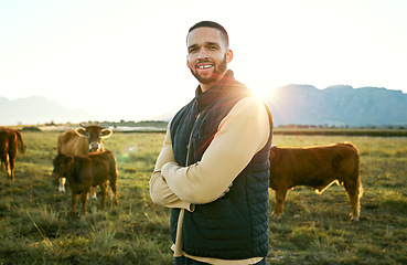 Image showing Agriculture, man and farming, cows on field for sunrise feed and farmer on land in Argentina countryside. Portrait, cattle farm and sustainability with beef and milk industry, agribusiness with flare