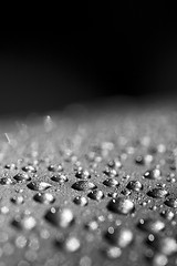 Image showing water drops