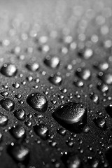 Image showing water drops