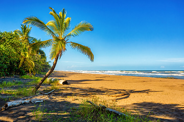 Image showing beach of Tortuguero, Costa Rica