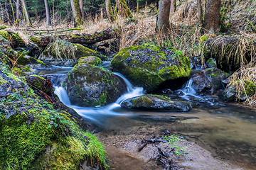 Image showing Small forest creek in a woodland