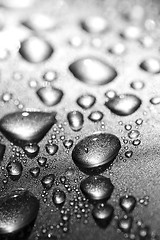 Image showing water drops