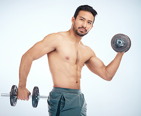 Image showing Bodybuilder man, dumbbell and portrait in studio for health, exercise and fitness with balance. Bodybuilding, muscle development and focus with strong arm, wellness and workout by studio background
