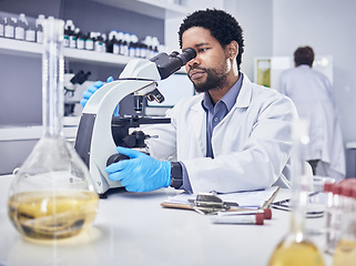 Image showing Microscope, scientist and black man with research, healthcare and diagnosis in laboratory. Science, African American male and lab equipment for cure, check sample for illness, virus and innovation.