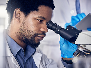 Image showing Black man, scientist and microscope with science research in laboratory, data analysis and expert with scientific or medical innovation. Phd doctor, face and biotechnology, chemistry and study in lab