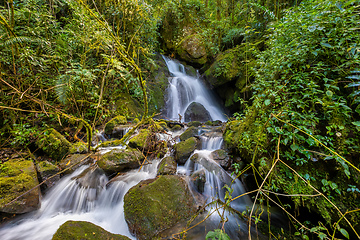 Image showing Wild mountain river. San Gerardo de Dota, Costa Rica.