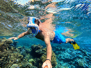 Image showing Snorkel swim in coral reef in Red sea, Egypt