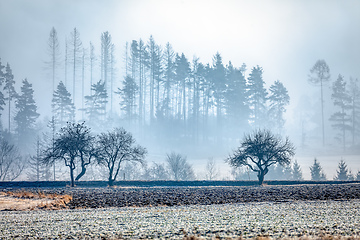 Image showing Winter foggy and misty sunrise landscape