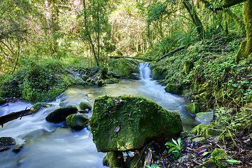 Image showing wild mountain river Rio Savegre. San Gerardo de Dota, Costa Rica.