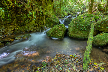 Image showing wild mountain river Rio Savegre. San Gerardo de Dota, Costa Rica.