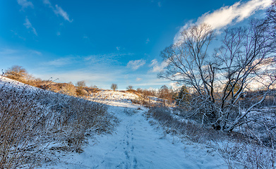 Image showing forest landscape with rural path