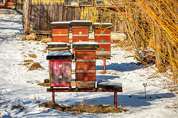 Image showing beehives in the winter garden