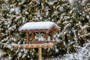 Image showing bird feeder in frozen snowy winter garden