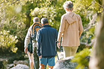 Image showing Hiking, fitness and elderly with people in the park for exercise, senior hiker group together with retirement and trekking back view. Hike, active lifestyle and wellness with vitality and friends.