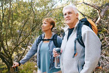 Image showing Relax, senior or couple of friends hiking, walking or trekking for freedom, exercise or fitness in nature forest. Interracial, travel or happy woman enjoys bonding time with healthy elderly partner
