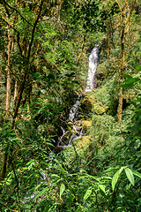 Image showing Waterfall on wild mountain river. San Gerardo de Dota, Costa Rica.