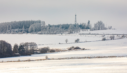 Image showing Winter landscape with tree covered by snow