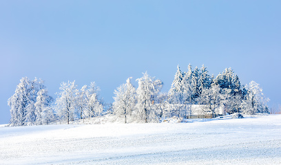 Image showing Winter landscape with tree covered by snow
