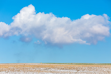 Image showing Simple winter background with blue sky