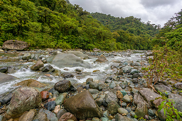 Image showing The Orosi River, Tapanti - Cerro de la Muerte Massif National Park