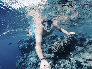 Image showing Snorkeling in coral reef in Red sea, Egypt