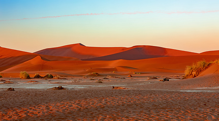 Image showing Arid dry landscape Hidden Vlei in Namibia Africa