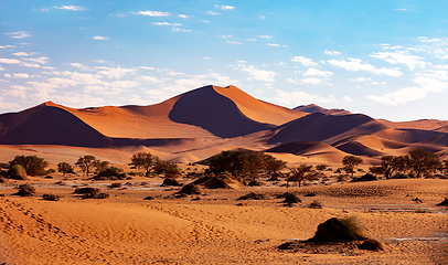 Image showing Arid dry landscape Hidden Vlei in Namibia Africa