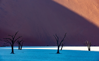 Image showing Dead Vlei landscape in Sossusvlei, Namibia