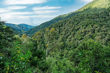 Image showing Landscape in San Gerardo de Dota, Costa Rica.