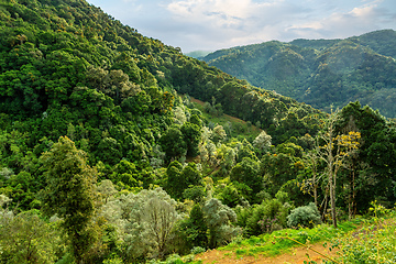 Image showing Landscape in San Gerardo de Dota, Costa Rica.