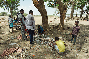 Image showing The men sort the remaining fish after closing the fish market. Ethiopia