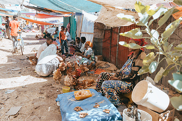 Image showing Woman at the market selling egs and chicken, Mojo Ethiopia