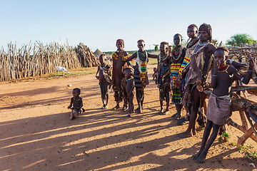Image showing Hamar Tribe of the Omo River Valley, Southwestern Ethiopia