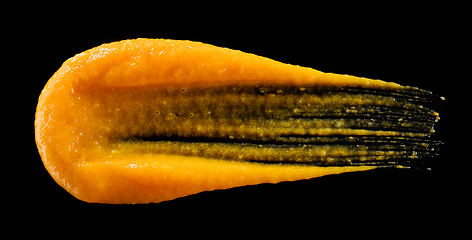 Image showing vegetable puree on black background