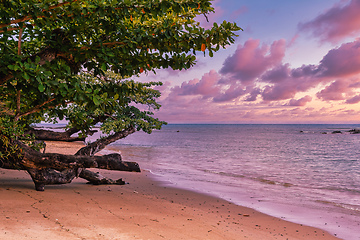 Image showing Beautiful view of the coast of Masoala National Park in Madagascar