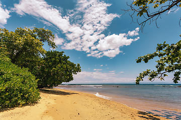 Image showing Beautiful view of the coast of Masoala National Park in Madagascar