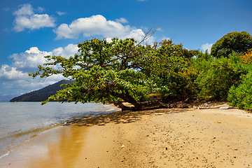 Image showing Beautiful view of the coast of Masoala National Park in Madagascar