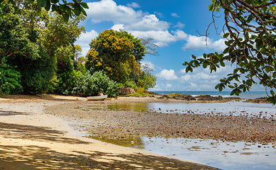 Image showing Beautiful view of the coast of Masoala National Park in Madagascar