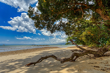 Image showing Beautiful view of the coast of Masoala National Park in Madagascar