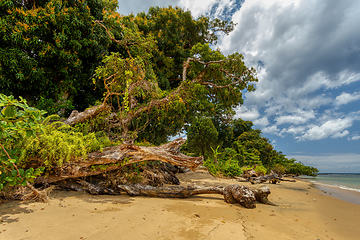 Image showing Beautiful view of the coast of Masoala National Park in Madagascar