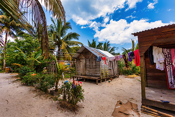 Image showing Laundry day in Masoala, Madagascar