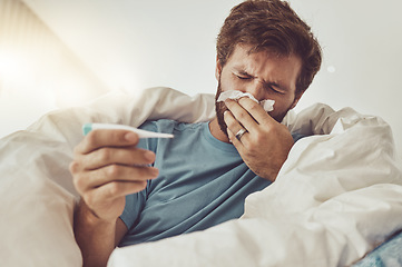 Image showing Man, blowing nose and sick with allergies, thermometer to check for fever, virus and bacteria with health fail at home. Toilet paper, healthcare crisis with medical condition and monitor temperature