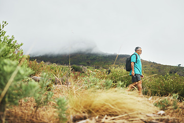 Image showing Hiking, walking or senior man in nature, forest or wilderness for trekking journey or adventure banner. Bush, holiday or mature hiker on field for exercise, fitness or wellness and sky mockup