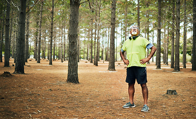 Image showing Hiking, tired or senior man in nature for walking or trekking journey or adventure on break in woods. Breathe, relax or exhausted mature hiker with fatigue in exercise, fitness or workout in forest