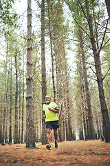 Image showing Hiking, running or senior man in forest, nature or wilderness for trekking journey or adventure for freedom. Workout, trees or mature male hiker in park or woods for exercise, fitness or wellness