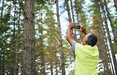 Image showing Hiking, photograph or senior man in forest for trekking journey memory or adventure for freedom. Pictures, holiday vacation view or mature hiker in nature or woods for exercise, fitness or wellness