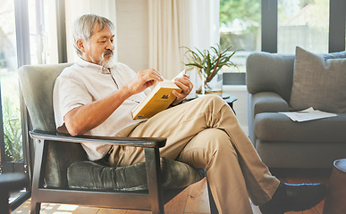 Image showing Relax, book and a senior asian man reading on a chair in the living room of his home during retirement. Study, learning and elderly person pensioner in his house alone for a literature leisure hobby